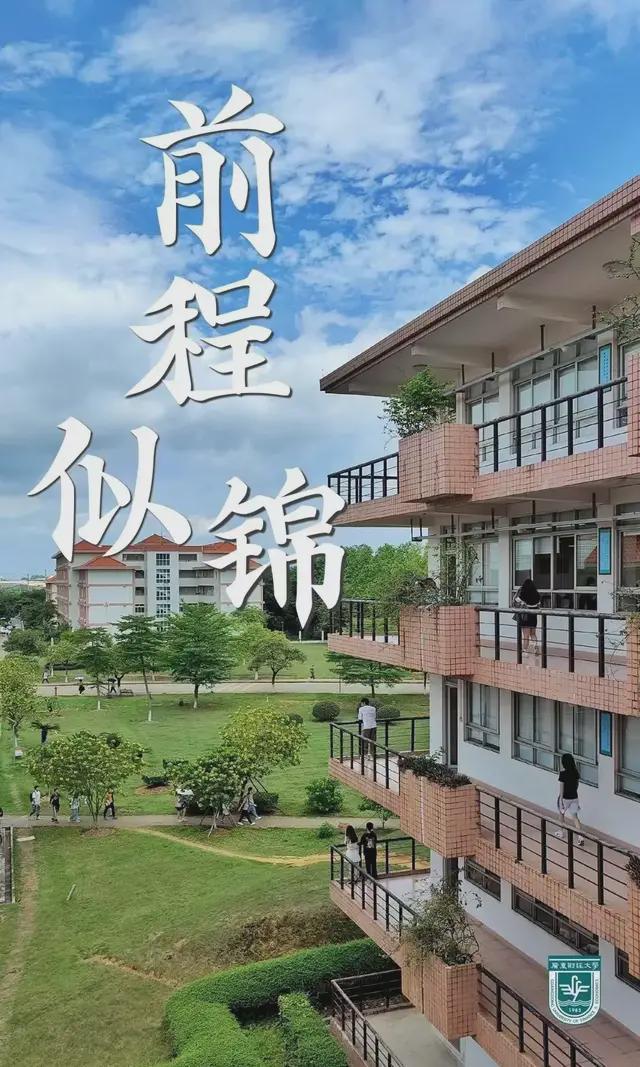 广东财经大学金融学校区_广东财经大学校金融实验班_广东金融学院实验班