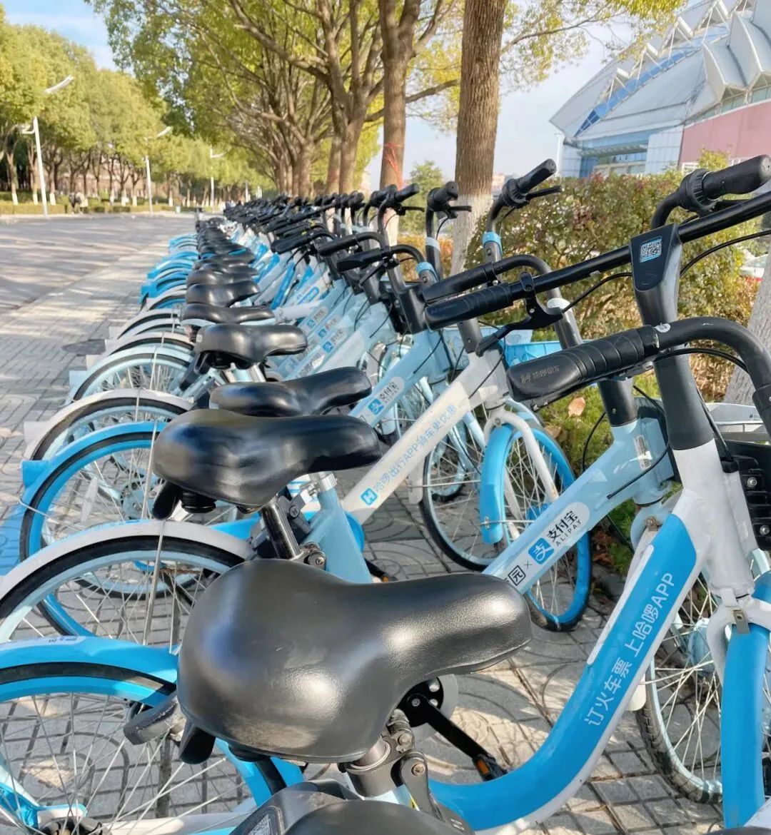 南京财经金融专硕难度_南京财经大学金融专硕分数线_南京财经大学金融专硕录取